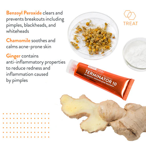 Acne Free Terminator 10 30ML