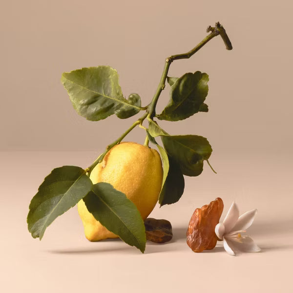 BEING FRENSHE CITRUS AMBER HAIR AND BODY MIST 150ML