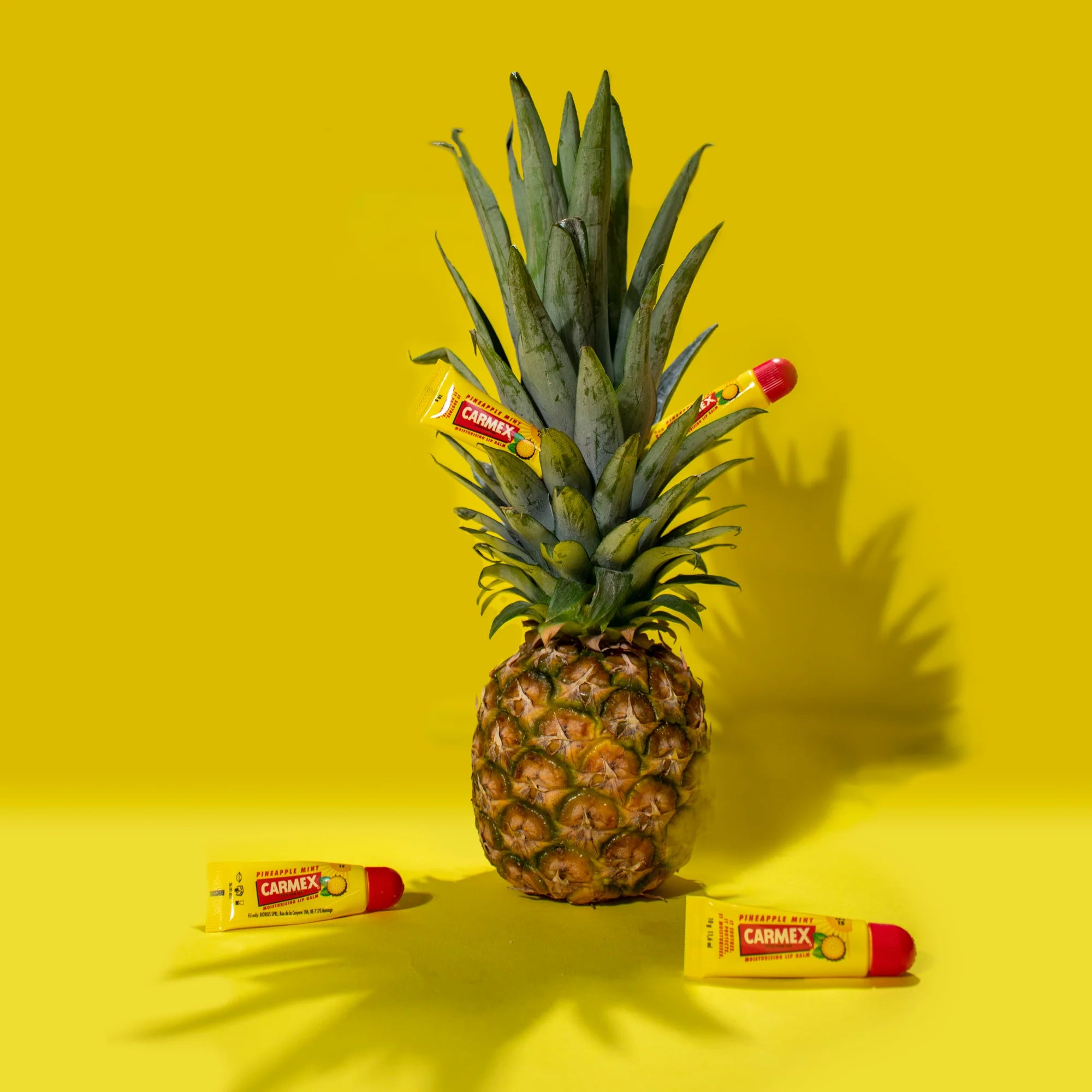 CARMEX LIP BALM-PINEAPPLE & MINT