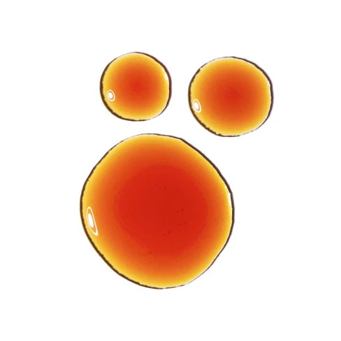 THE ORDINARY PYCNOGENOL 5%